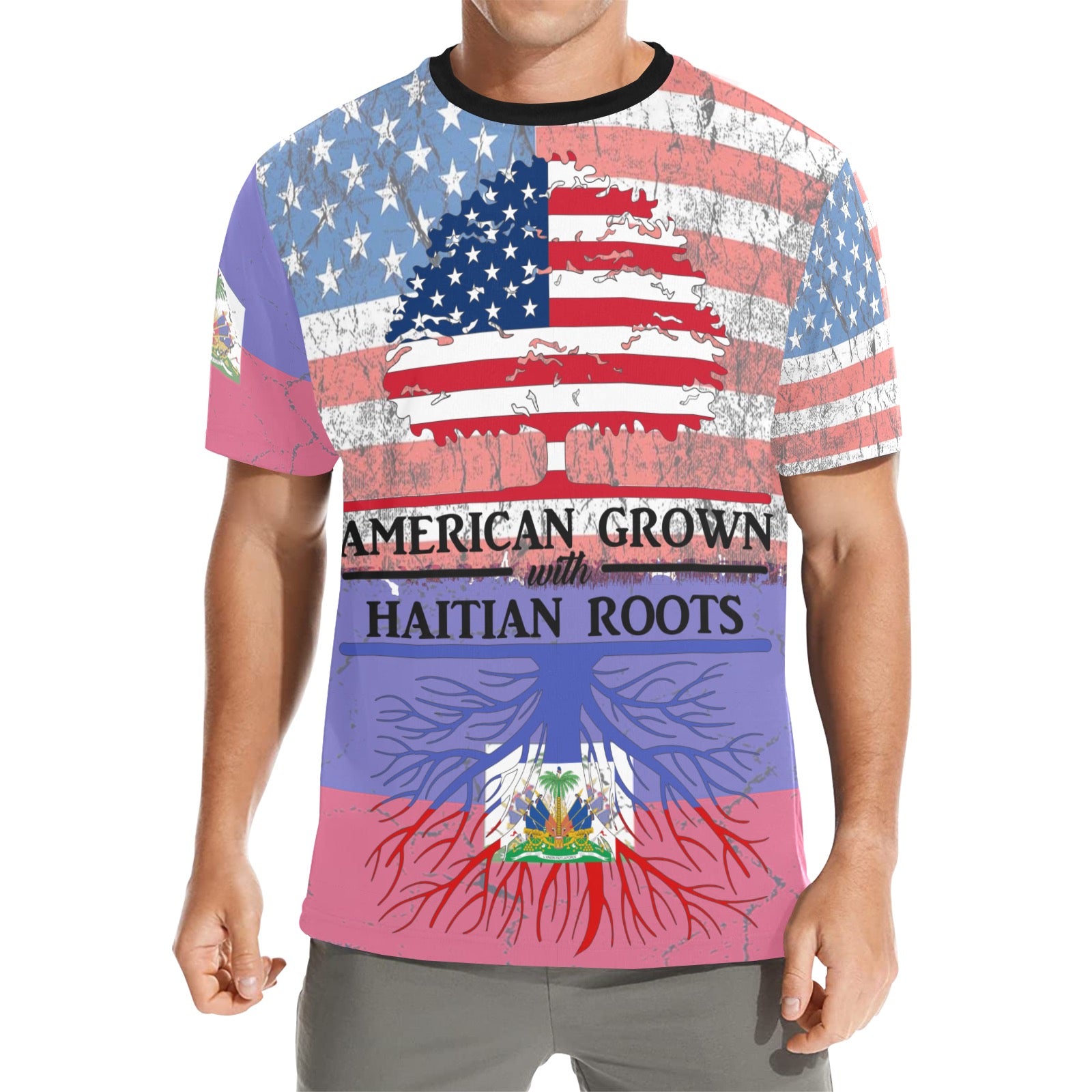 America Haitian Roots